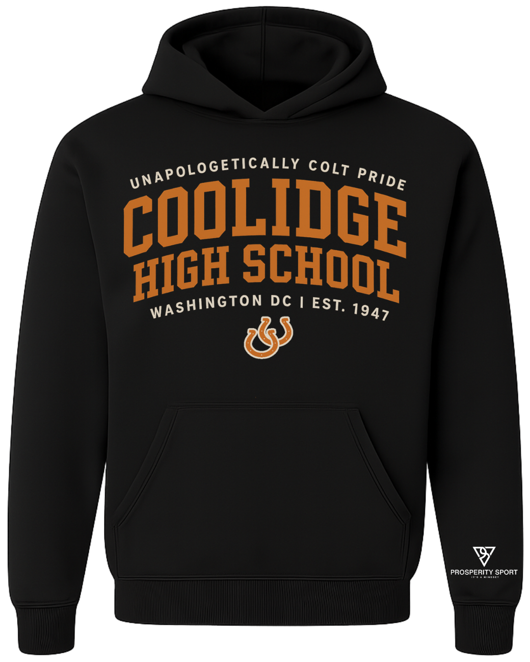 Coolidge Collegiate Hoodie