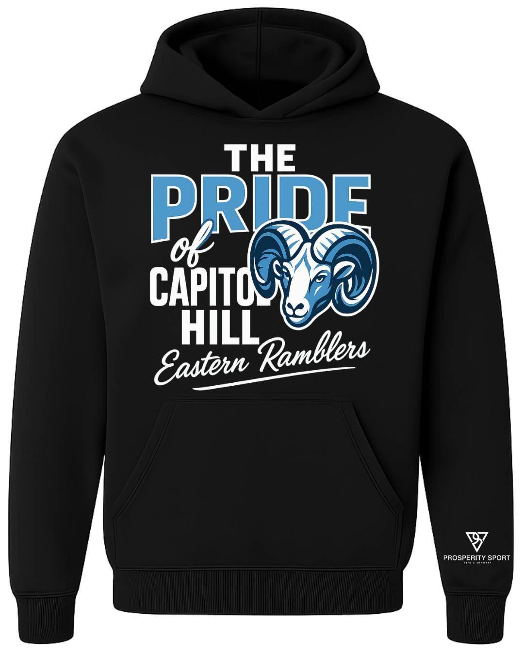 Pride of Capital Hill Hoodie